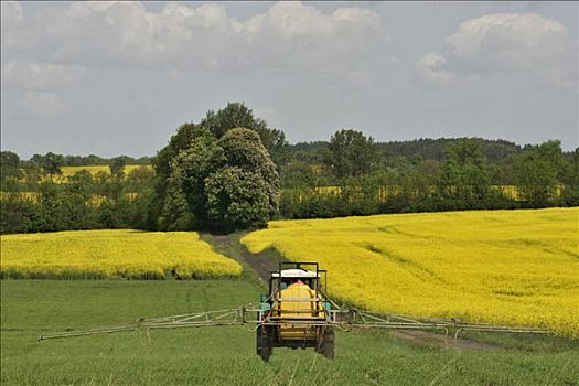 拖拉机,施肥,农业,风景,波兰,欧洲
