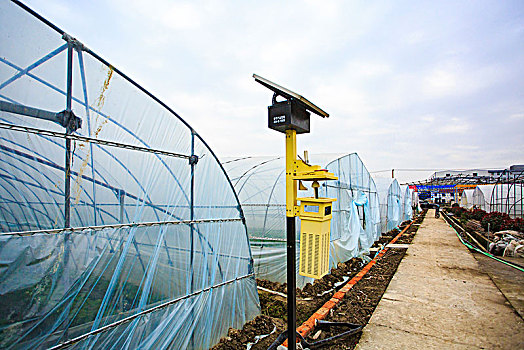 海曙,古林镇,郭夏村,花果山基地,大棚,菜园