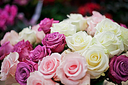 花束,白色,丁香,粉色,玫瑰