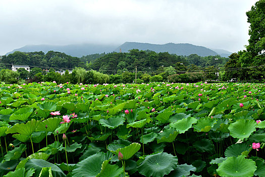 湖南韶山红色旅游景区