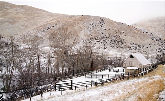 初雪,毯子,山坡,乡村,乡野,场景,忘记,牧场