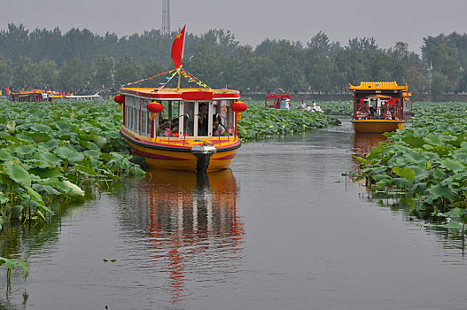 中国•淮阳荷花节