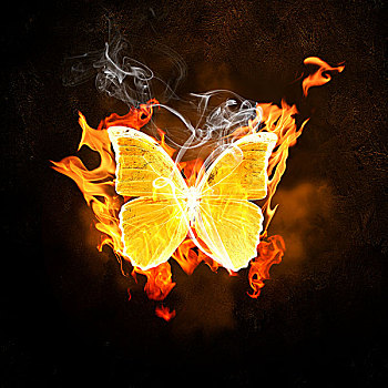 蝴蝶,火,火焰