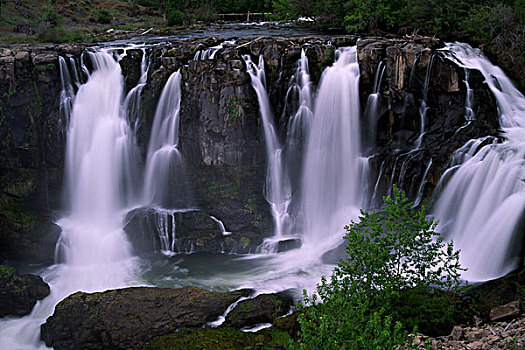 俯拍,瀑布,白色,河,州立公园,俄勒冈,美国