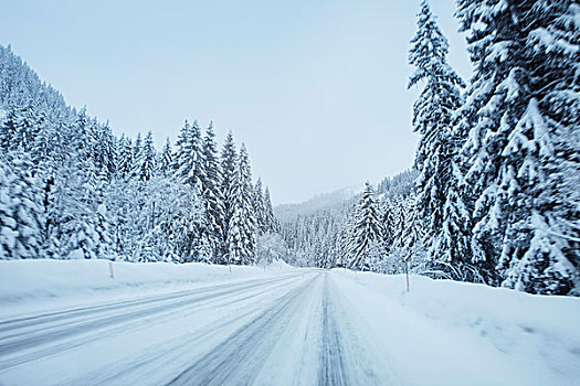 轮胎印,积雪,道路