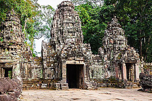 树,根,古老,庙宇,吴哥窟,区域,柬埔寨