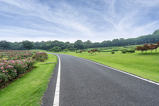 城市高速公路