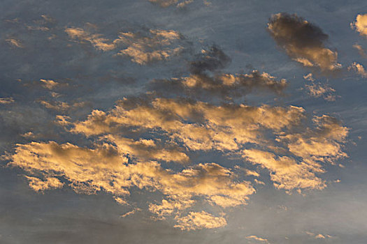 高积云,云,落日余晖,安达卢西亚,西班牙,欧洲
