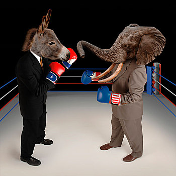 美国,共和党,民主党,吉祥物,驴,大象,对峙,拳击场,职业套装,红色,白色,蓝色,拳击手套