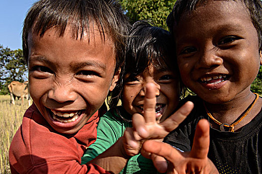 柬埔寨,收获,区域,男孩,微笑,摄影,大幅,尺寸