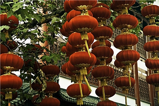 中国,传统,红灯笼,上海