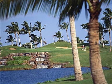 夏威夷,瓦胡岛,高尔夫球场,低,瀑布,远景,打高尔夫,果岭