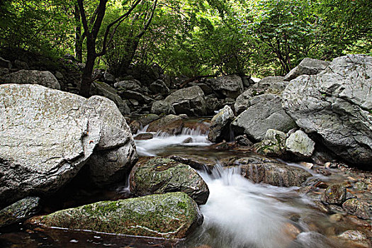 秦岭大峪甘花溪