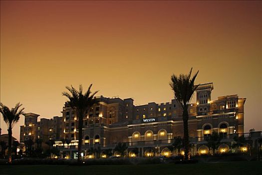 酒店,迪拜,阿联酋,中东