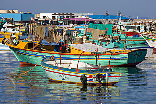 彩色,渔船,港口,亚历山大,埃及