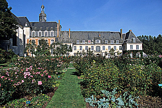 法国,教堂,花园