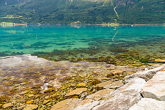 挪威,石头,峡湾,海岸,彩色,透明,水