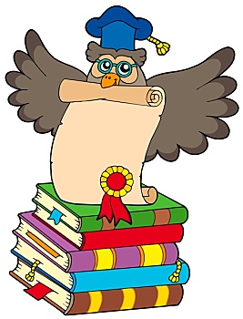 智慧,猫头鹰,证书,书本