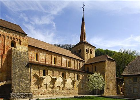 教区教堂,罗马式,教堂,沃州,瑞士,欧洲