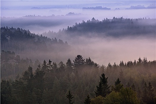 雾状,黎明,上方,波希米亚风格,瑞士
