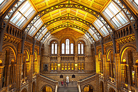 自然历史博物馆,伦敦,英格兰