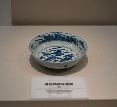 四川绵阳三台县博物馆藏文物明代青花鸭荷纹瓷碗