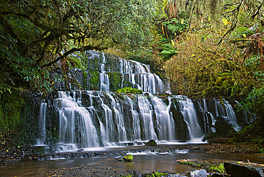 瀑布,树林,卡特林斯,南岛,新西兰