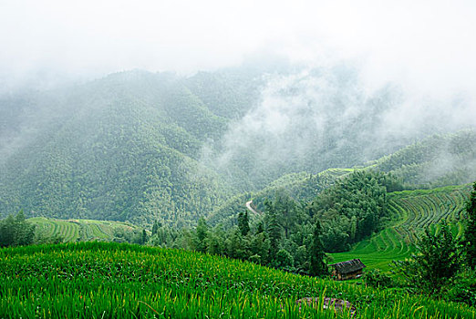 大山里的田园春色