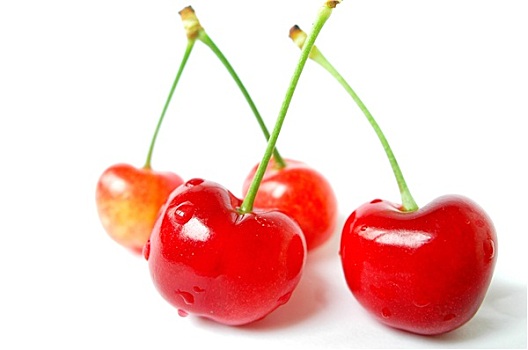 红色,樱桃,水果,白色背景