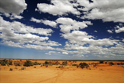 荒芜,灌木丛,干燥,红土,天空,氛围,云,澳洲南部