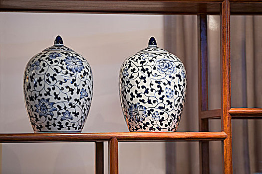 两个青花瓷瓶twoblueandwhiteporcelainbottles