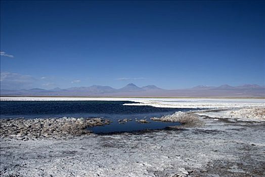 盐湖,阿塔卡马沙漠,智利,南美