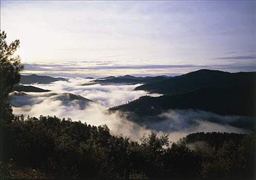 法国,朗格多克-鲁西永大区