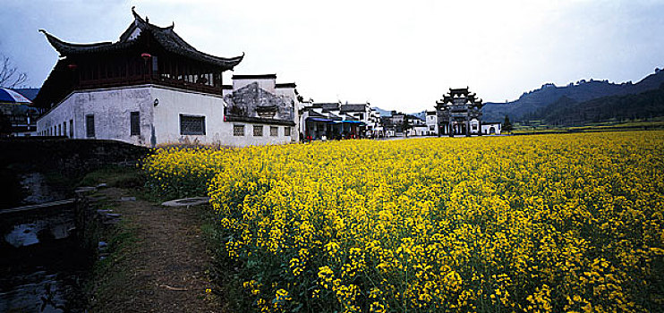 安徽黟县西递村