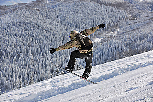 自由式,滑雪板玩家,跳跃,乘,晴朗,冬天,白天,山