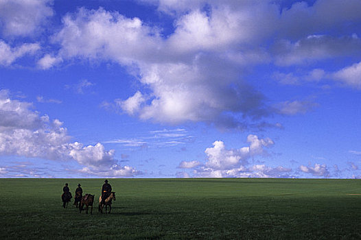 中心,蒙古,靠近,喀喇昆仑,草地,草原,男人,马