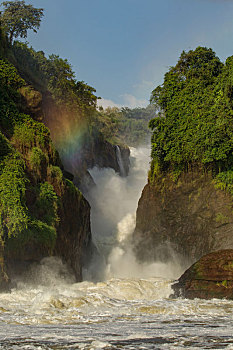 尼罗河,瀑布,国家公园,乌干达