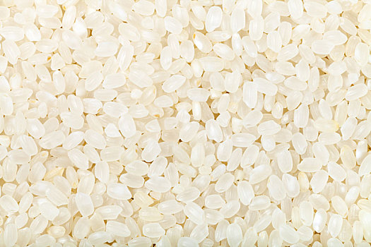 短小,谷物,生食,白色,米饭
