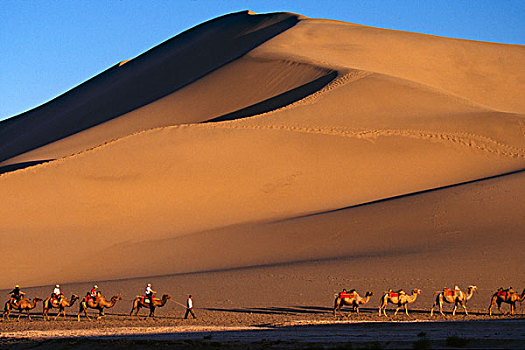 骆驼,驼队,沙丘,日落,敦煌,甘肃,丝绸之路