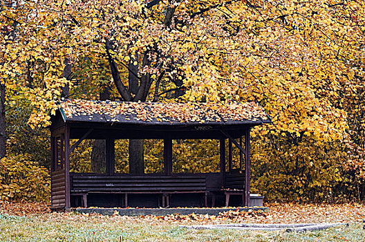 凹室,秋天,公园