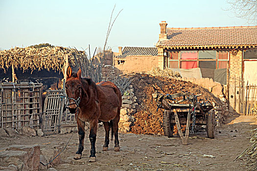 张家口,蔚县,上苏庄,古镇,建筑,房子,古迹,遗址,特色,古堡,亮剑,影视外景地,景点,村庄,原始,落后