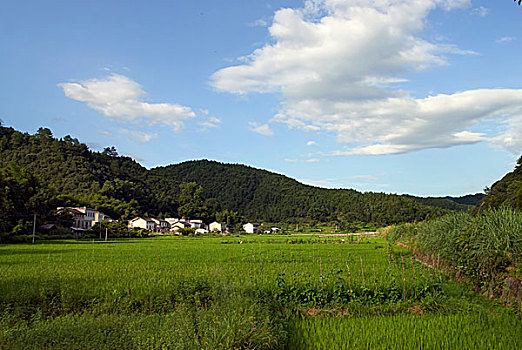 祁门乡村田园风光