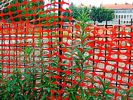 红色,栅栏,绿色,植物