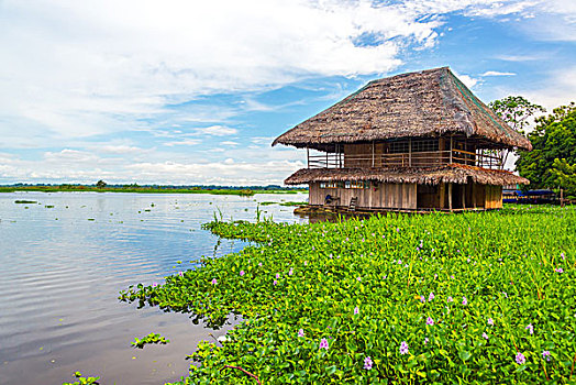漂浮,小屋,亚马逊河