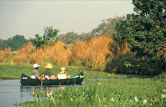 独木舟,一个,频道,赞比西河