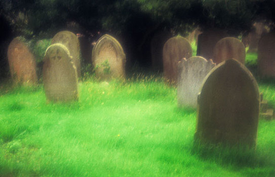 英国,英格兰,氛围,角,墓地,风化,随机性,墓碑,围绕,软,绿色,草,暗色,树,后面