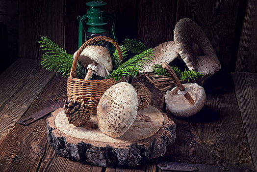 伞状蘑菇,高环柄菇