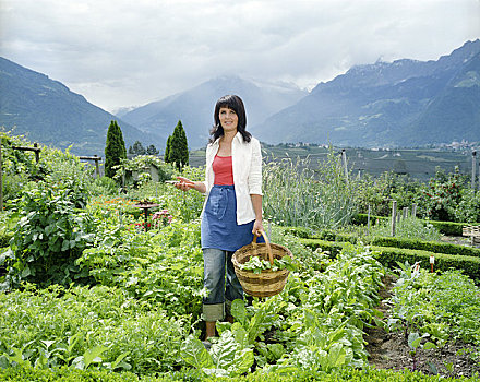女人,花园,蔬菜