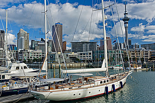 帆船,港口,奥克兰,天际线,北岛,新西兰