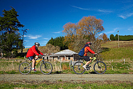 骑车,金色,自行车,小路,靠近,奥塔哥,南岛,新西兰